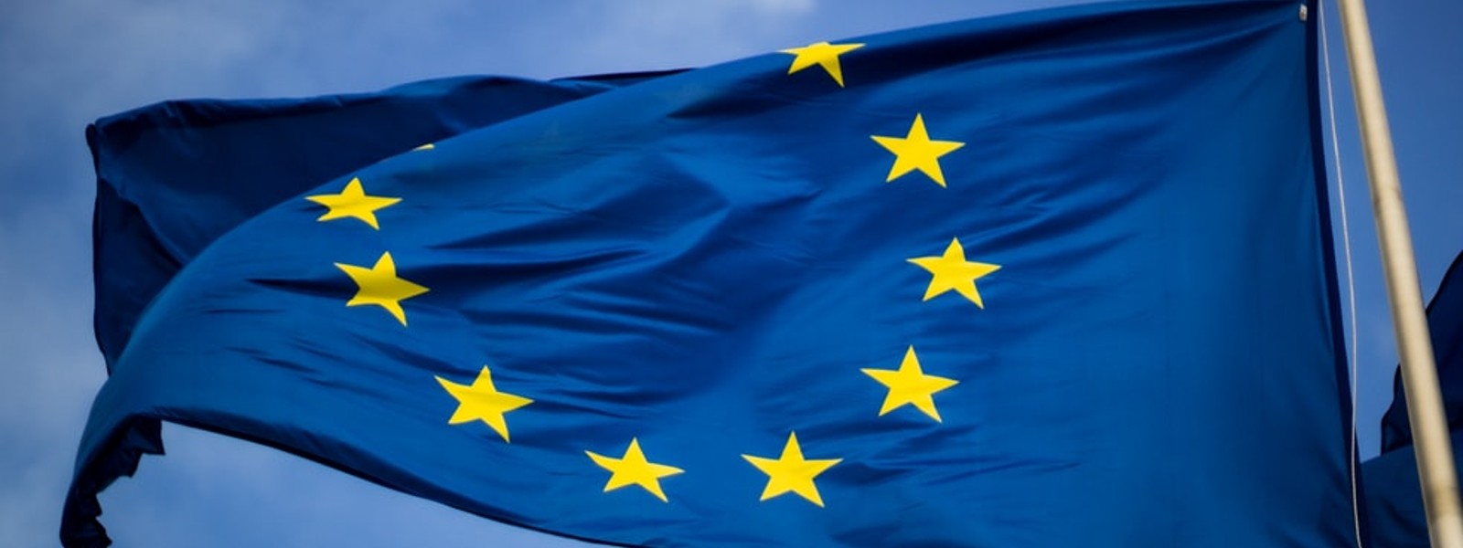 EU envoy voices concern over lack of FTAs